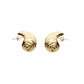 Shell Drop Earrings